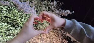 Read more about the article Love Bombing (dội bom tình yêu) là gì?