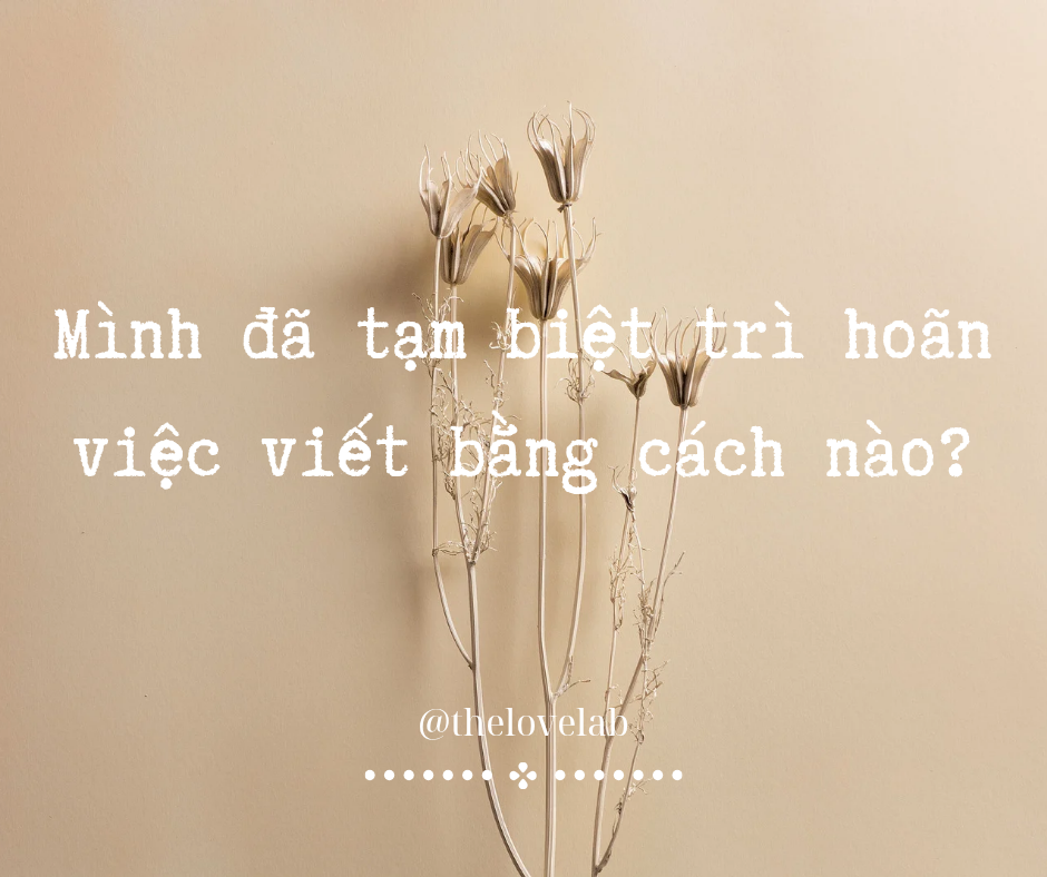 Read more about the article Mình đã tạm biệt trì hoãn việc viết bằng cách nào?