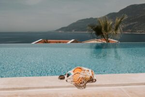 Read more about the article Thời gian sẽ chữa lành mọi vết thương
